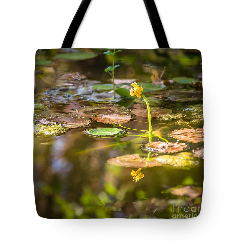 Plants Tote Bag featuring the photograph Growing in the water by Mariusz Talarek