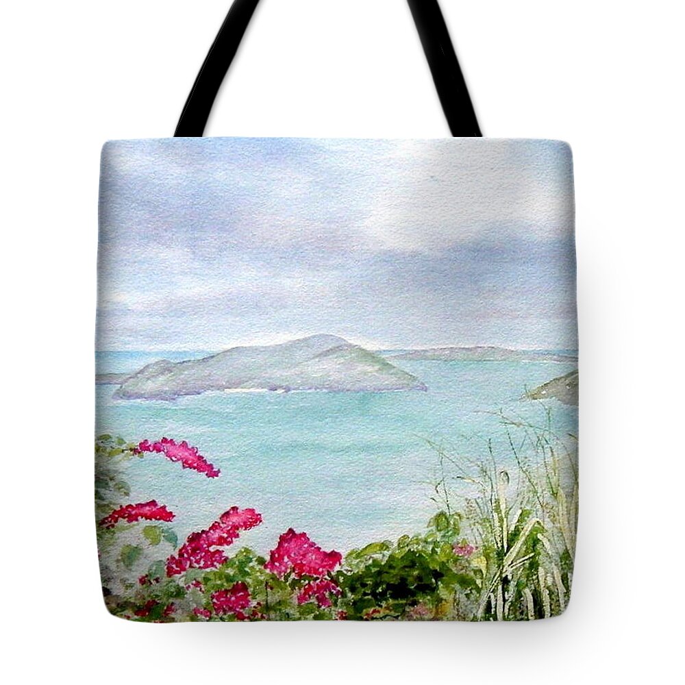 Tortola Tote Bag featuring the painting Guana Island by Diane Kirk