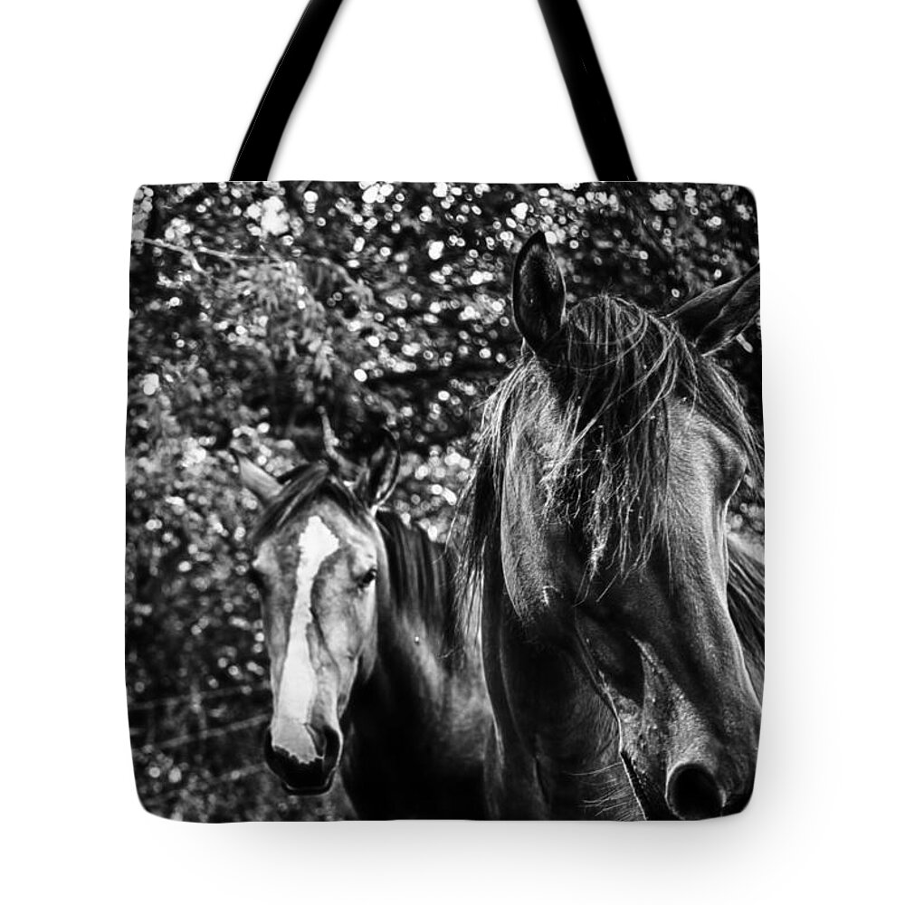 Horses Tote Bag featuring the photograph Guardian of his mate by Toni Hopper