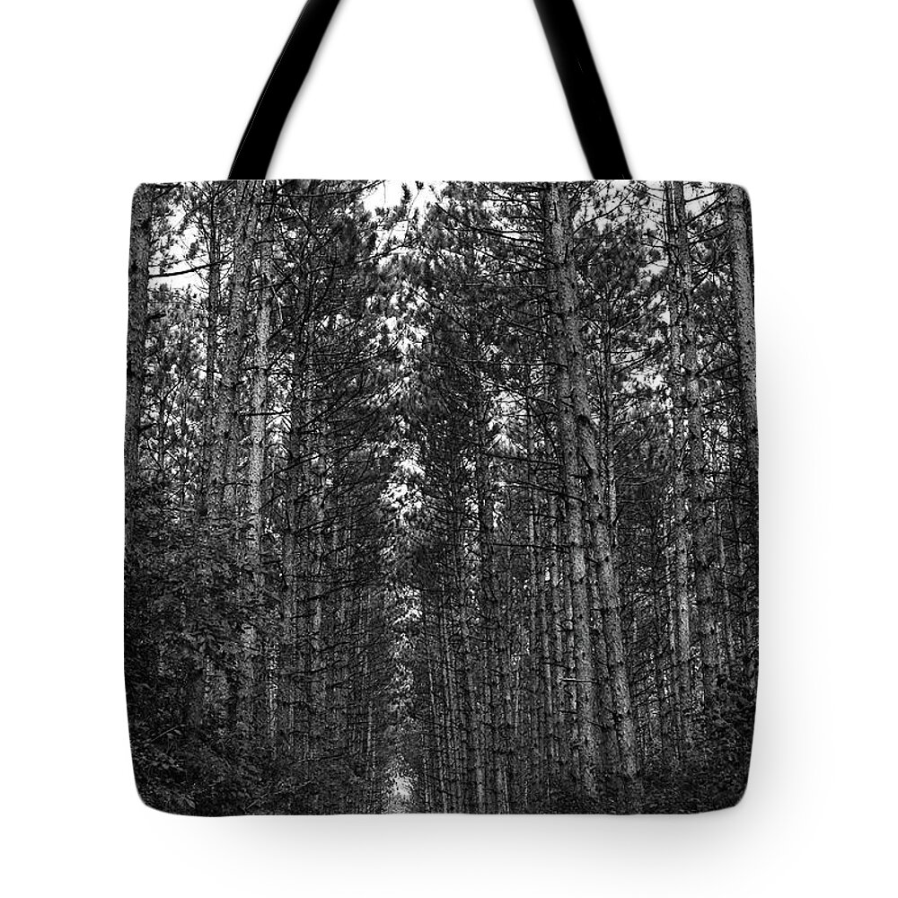Trees Tote Bag featuring the photograph Guardians of the Trail by Tiffany Whisler