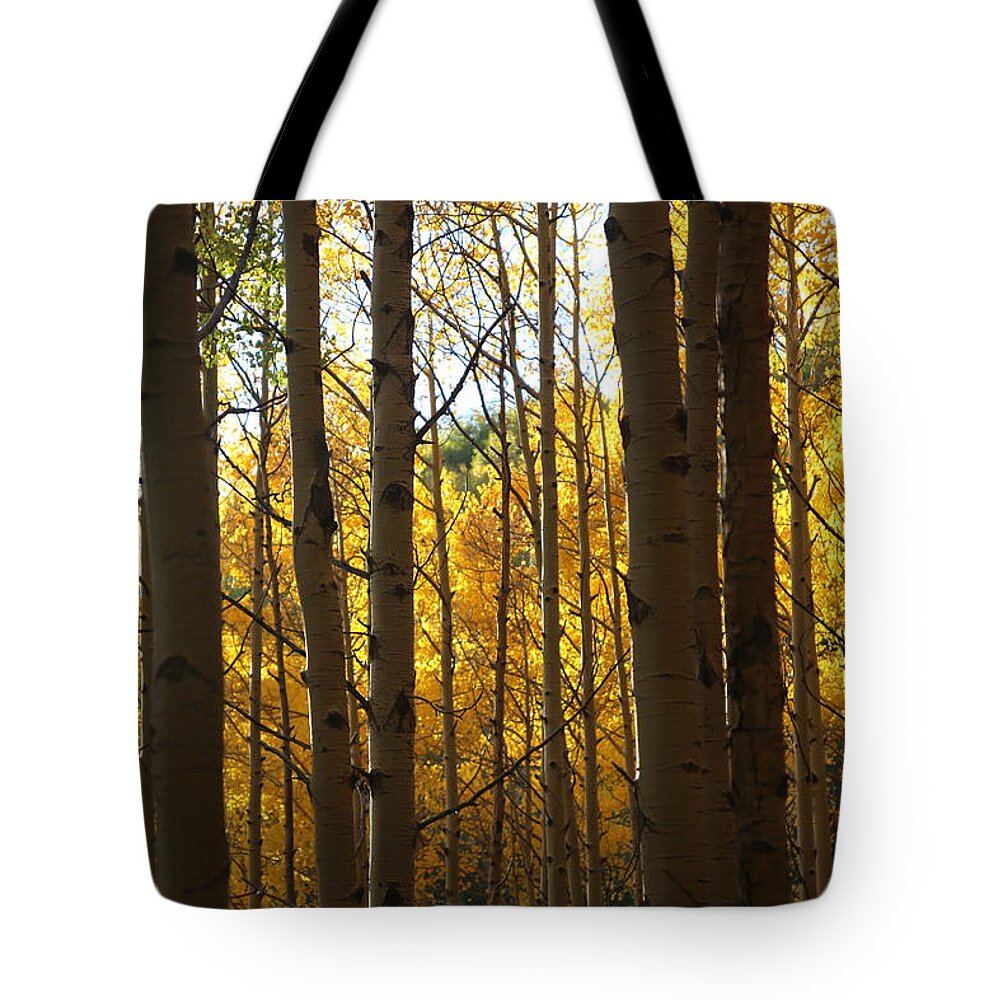 Aspen Foliage Tote Bag featuring the photograph Guarding the Gold by Tammy Pool