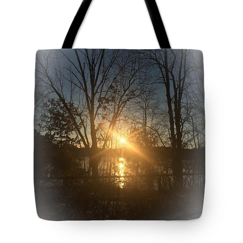 Light Tote Bag featuring the photograph Guiding Light by Lisa Pearlman