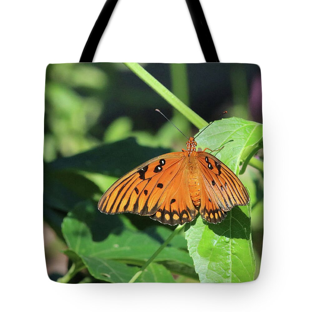 Gulf Fritillary Agraulis Vanillae Tote Bag featuring the photograph Gulf Fritillary Agraulis vanillae by Captain Debbie Ritter