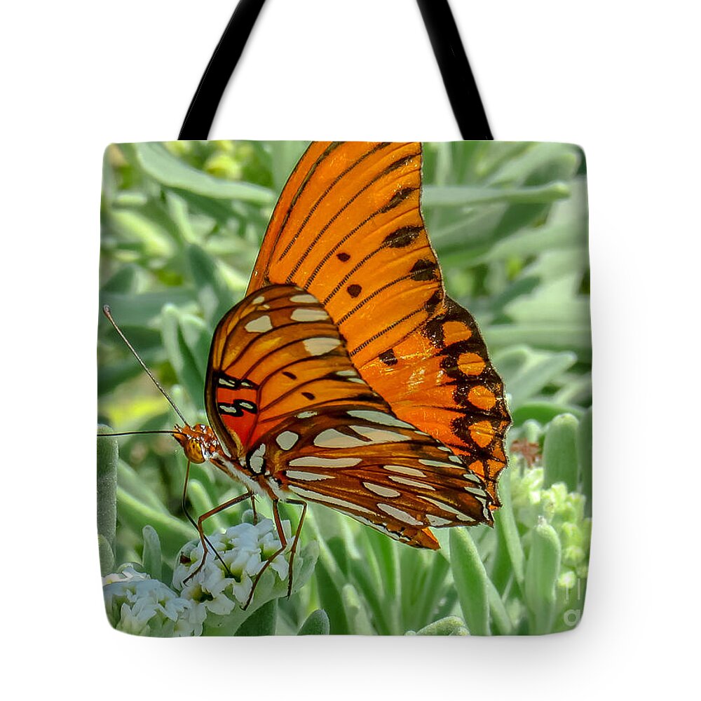 Cheryl Baxter Photography Tote Bag featuring the photograph Gulf Fritillary by Cheryl Baxter