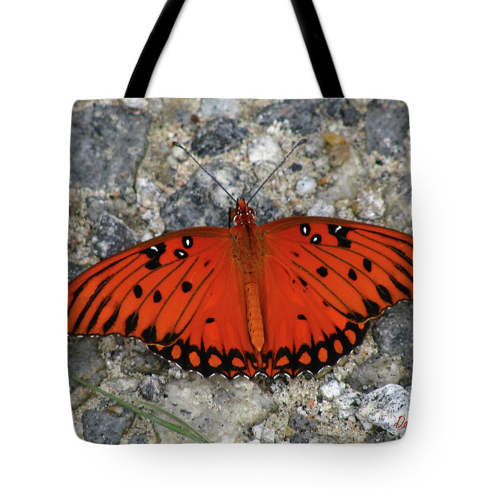 Butterfly Tote Bag featuring the photograph Gulf Fritillary by Donna Brown