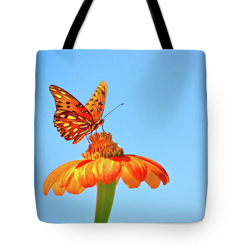 Butterfly Tote Bag featuring the photograph Gulf Fritillary Landing by Mark Andrew Thomas