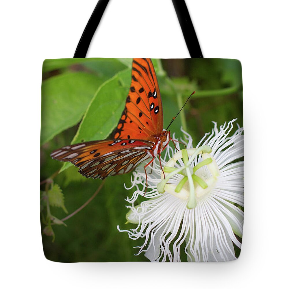 Gulf Fritillary Tote Bag featuring the photograph Gulf Fritillary on White Passionflower by Paul Rebmann