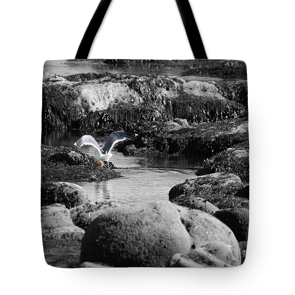 Gull Crab Tote Bag featuring the photograph Gull Crab by Dylan Punke