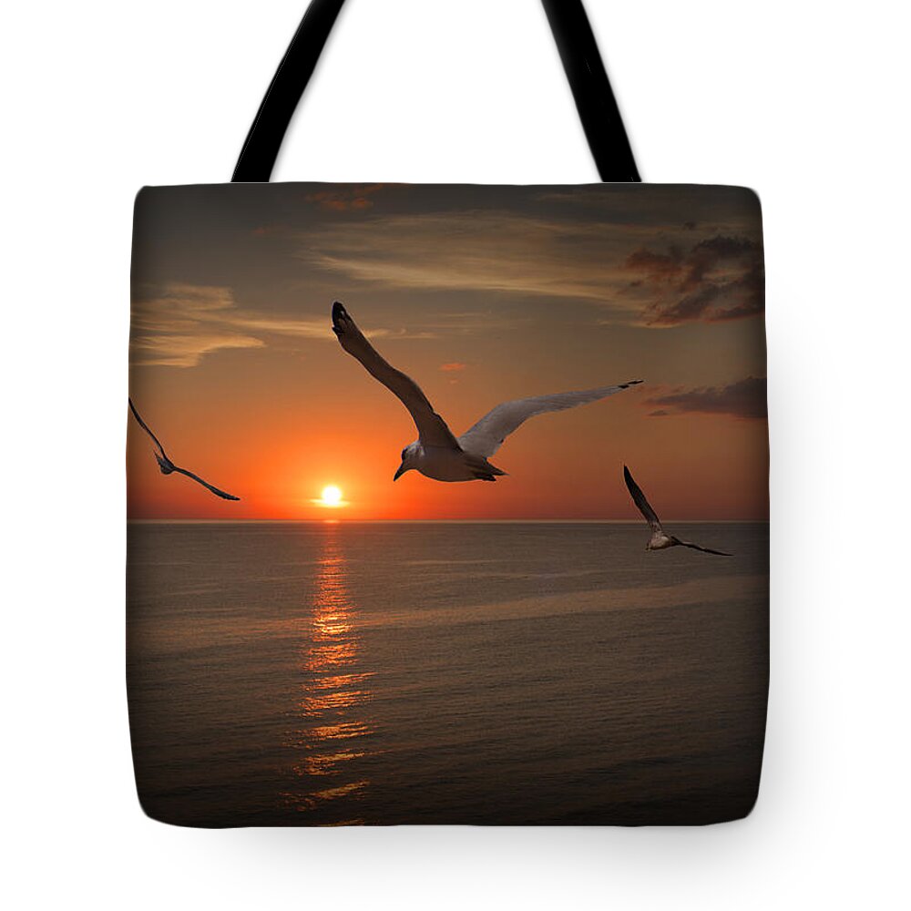 Gull Tote Bag featuring the photograph Gulls Flying towards the Sun by Randall Nyhof