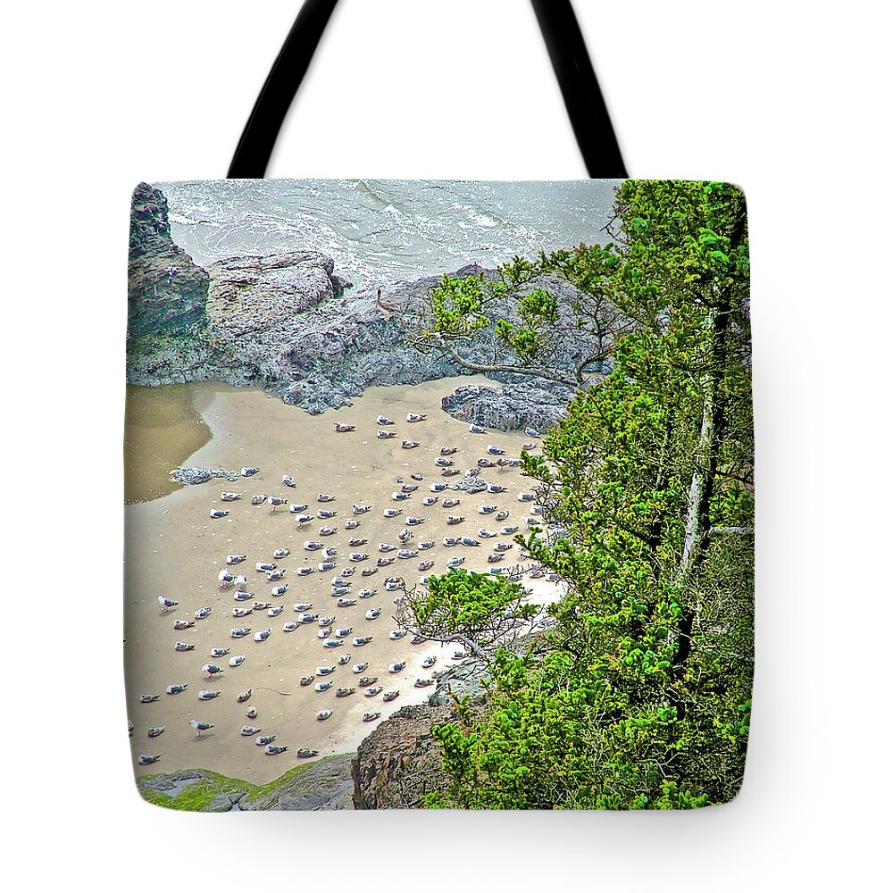 Gulls On The Sand Below In Ecola State Park Tote Bag featuring the photograph Gulls on the Sand Below in Ecola State Park, Oregon by Ruth Hager