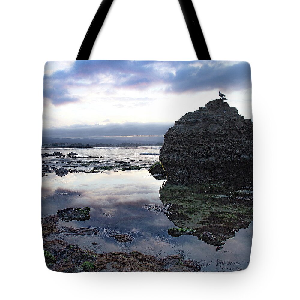 Seascape Tote Bag featuring the photograph Gulls with Clouds by Lora Lee Chapman