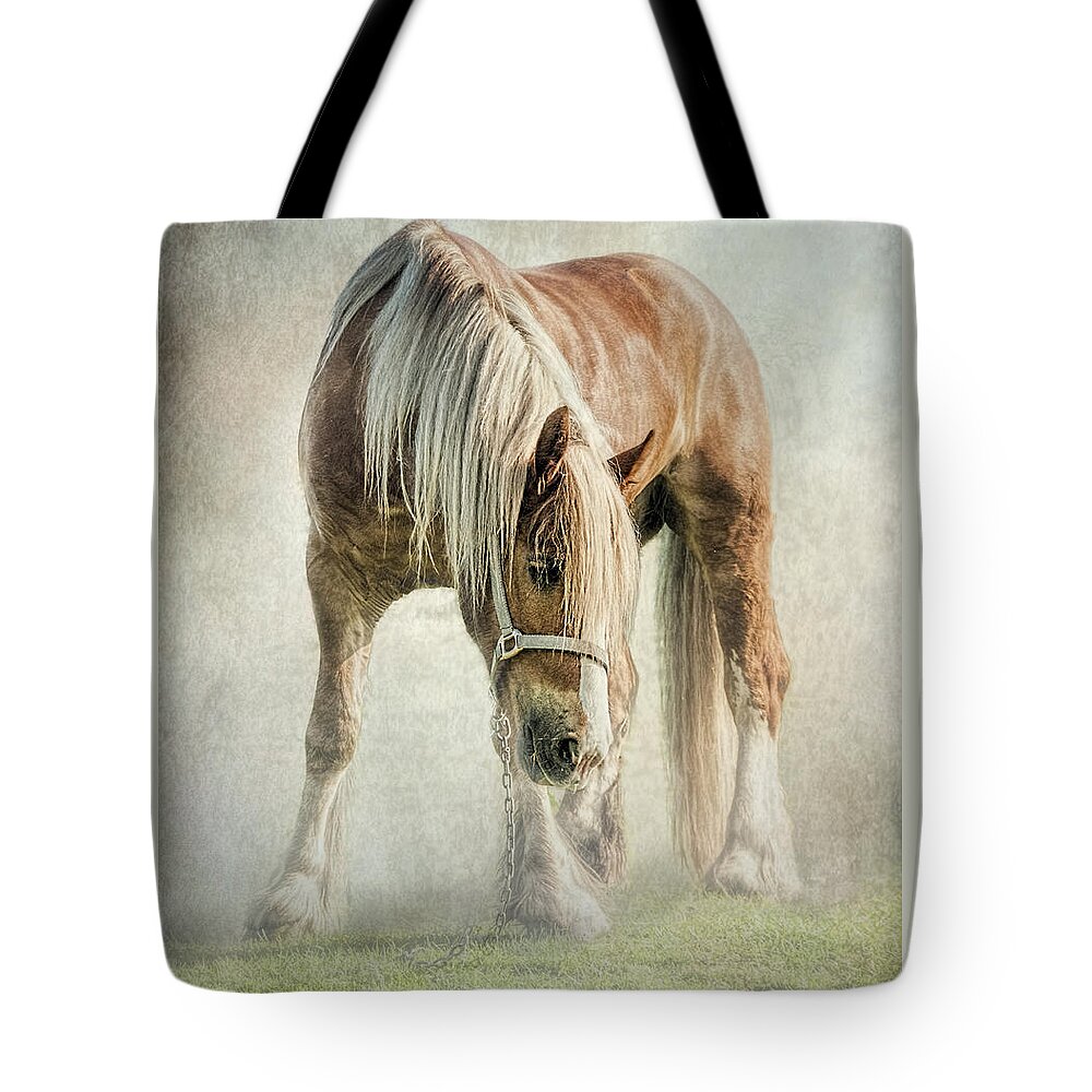Gypsy Horse Tote Bag featuring the photograph Gypsy in morning mist. by Brian Tarr