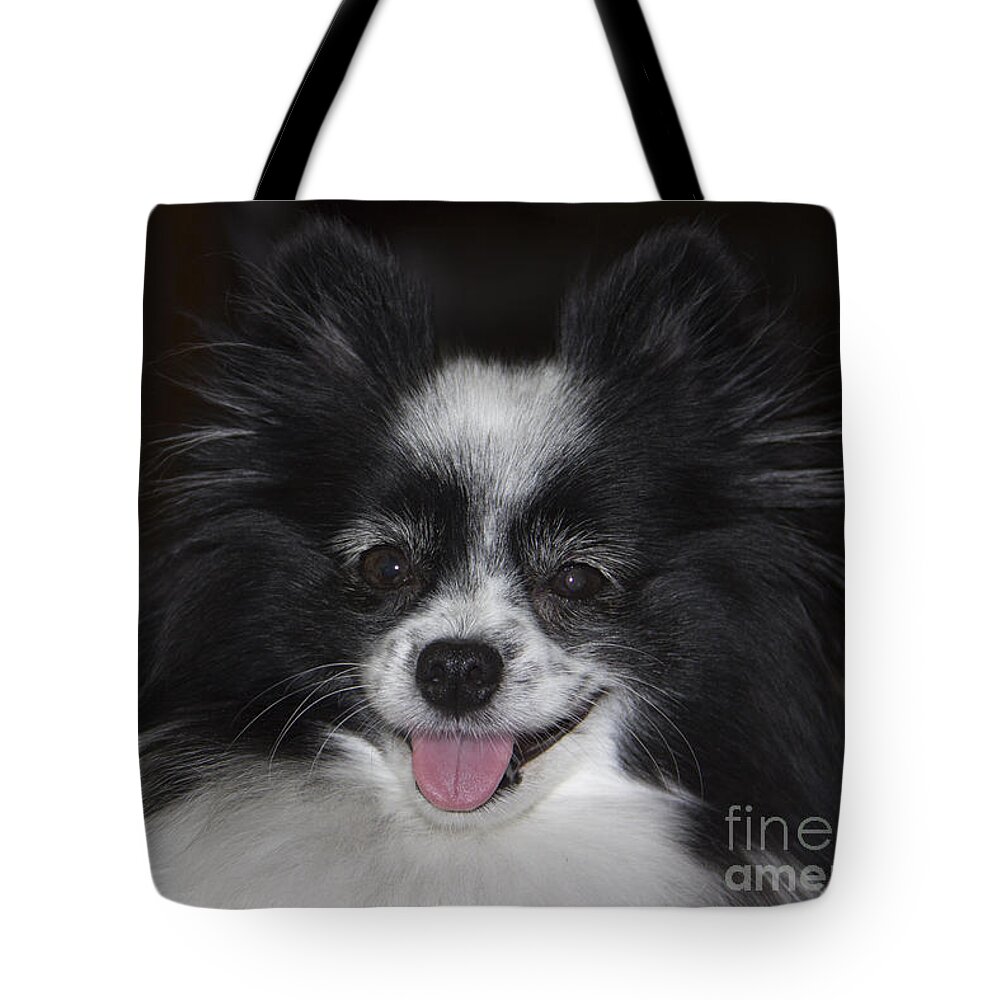 Small Dog Tote Bag featuring the photograph Gypsy by Kelly Holm
