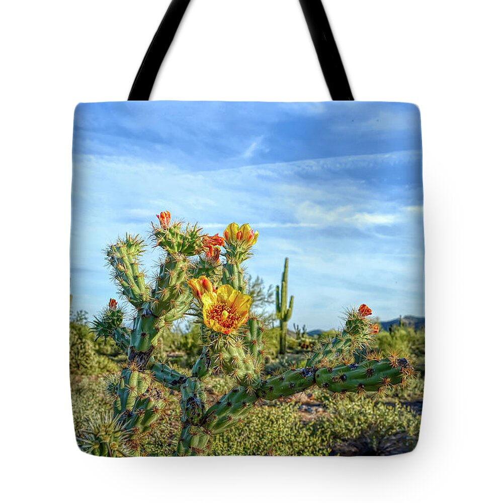 Cactus Tote Bag featuring the photograph H D R Desert Bloom by Aimee L Maher ALM GALLERY