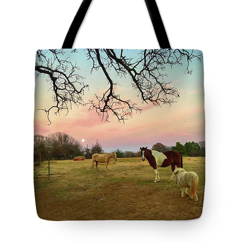 Horses Tote Bag featuring the photograph Hacienda Paraiso by Doris Aguirre