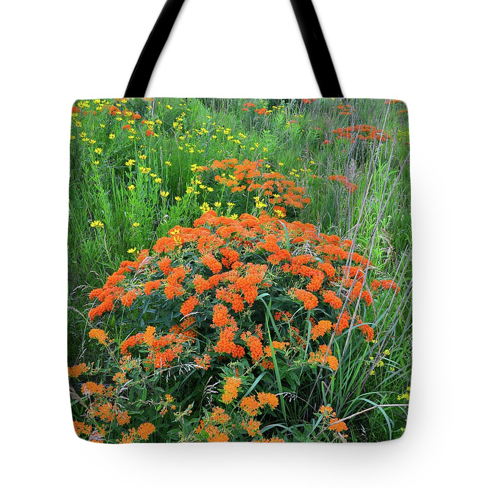 Illinois Tote Bag featuring the photograph Hackmatack NWR Butterfly Weed by Ray Mathis