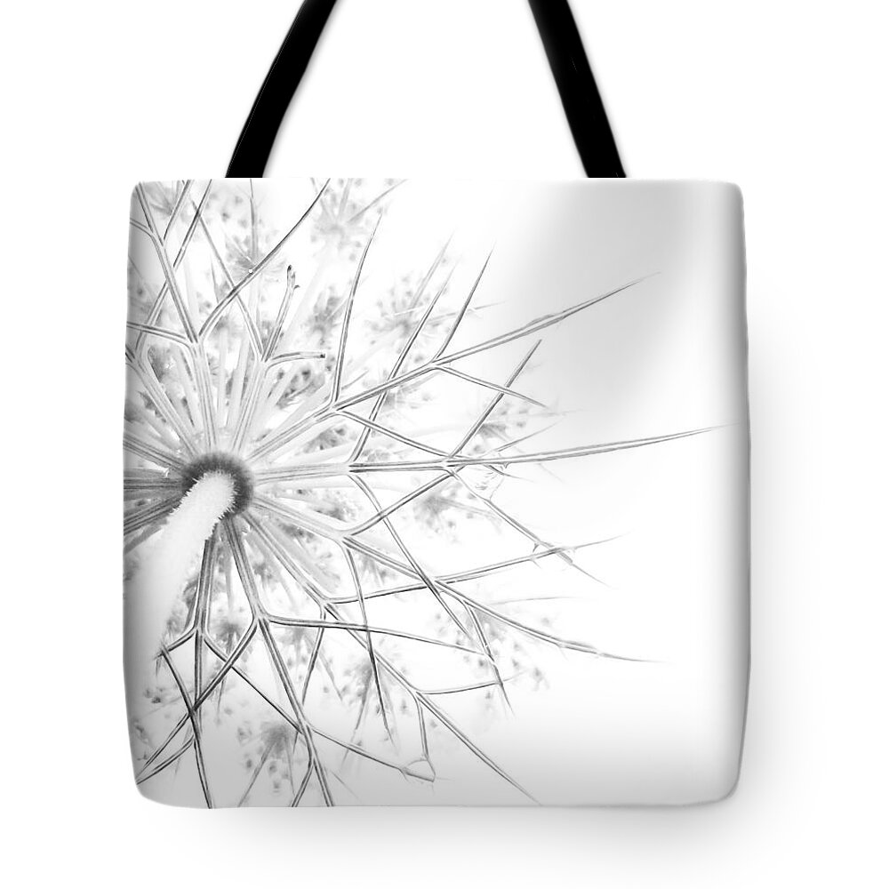 Queen Anne's Lace Tote Bag featuring the photograph Summer Snow by Holly Ross