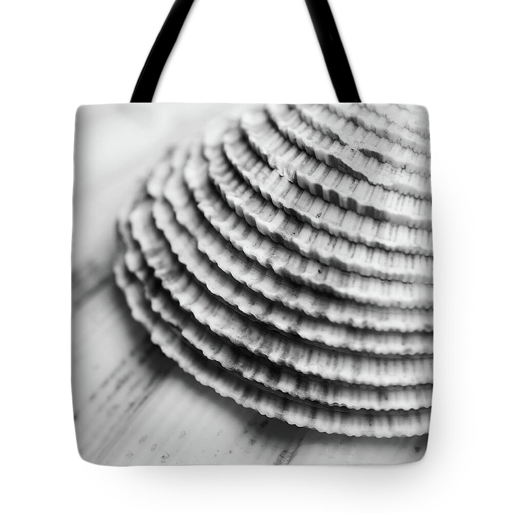 Seashell Tote Bag featuring the photograph Half Shell by Tom Druin