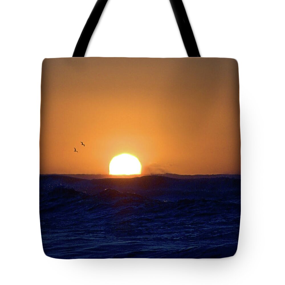 Seas Tote Bag featuring the photograph Halloween by Newwwman