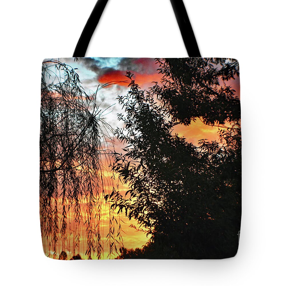 Nature Tote Bag featuring the photograph Halloween Sunrise 2015 by DB Hayes
