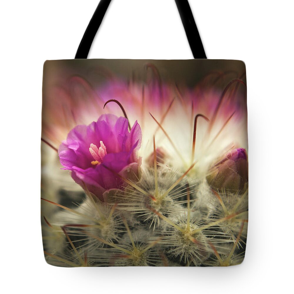 Cactus Tote Bag featuring the photograph Handle with Care by Holly Ross