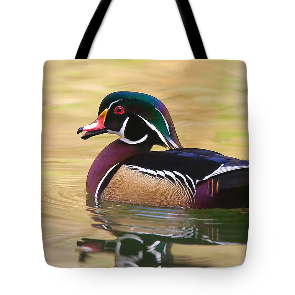 Wood Duck Tote Bag featuring the photograph Handsome Wood Duck by Ram Vasudev