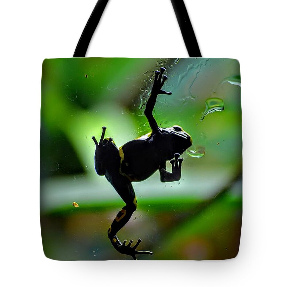 Frog Tote Bag featuring the photograph Hang in There by Michael Brungardt