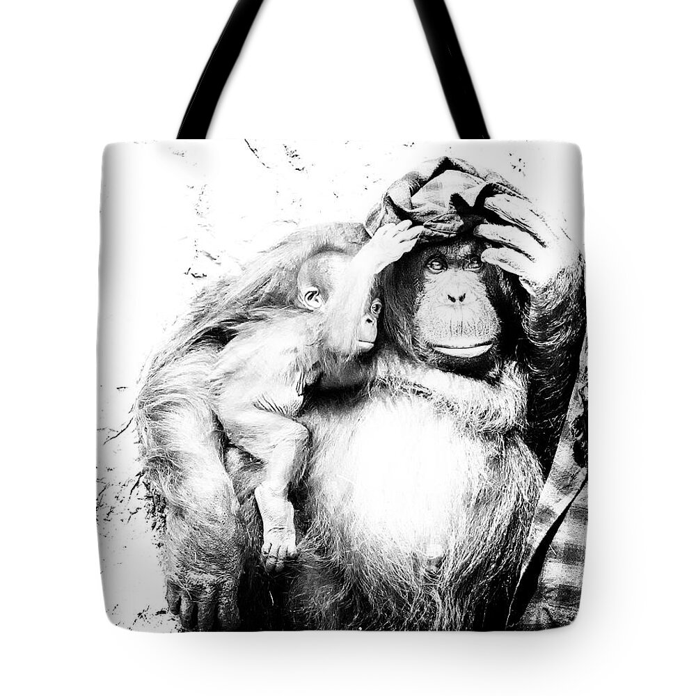 Crystal Yingling Tote Bag featuring the photograph Hangin Out by Ghostwinds Photography