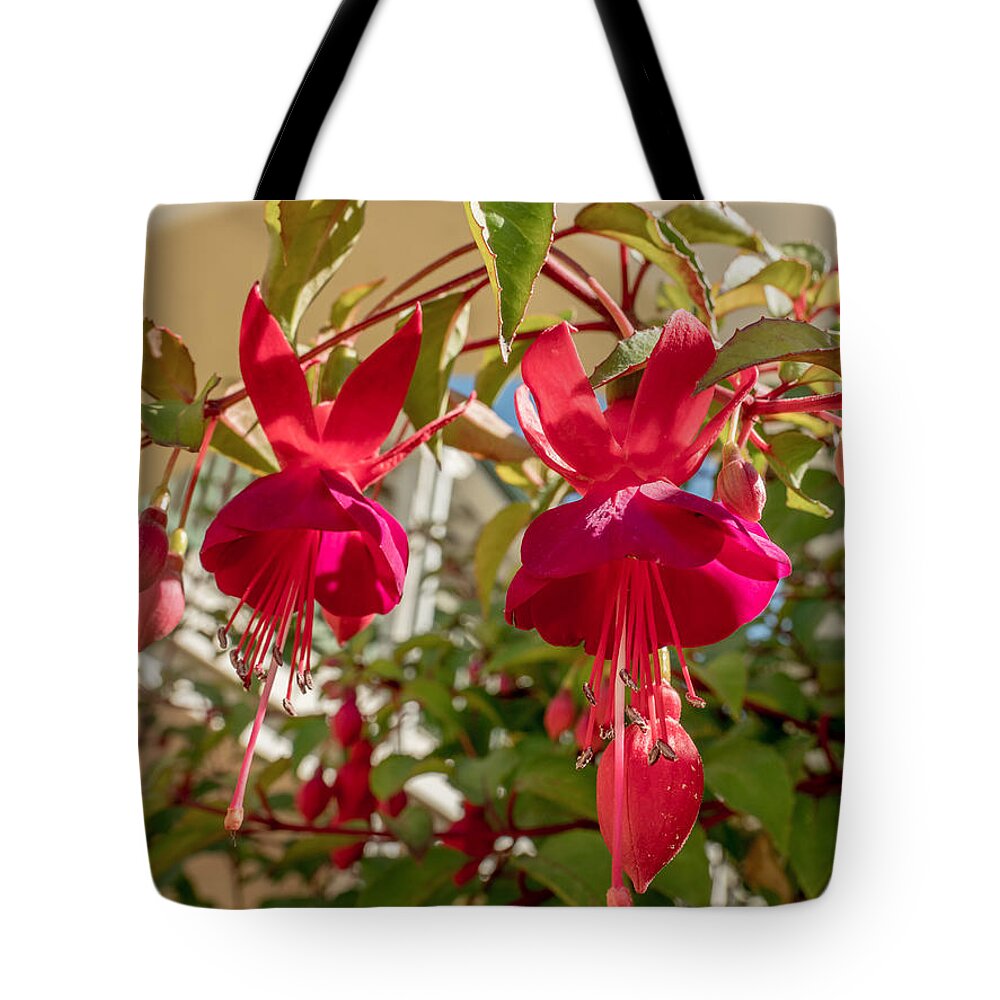 Flower Tote Bag featuring the photograph Hanging Around by Derek Dean