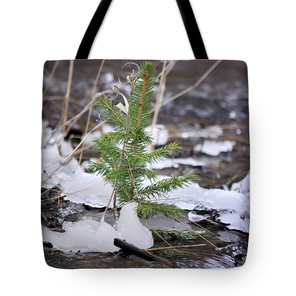 Landscape Tote Bag featuring the photograph Hanging In There by Ron Cline