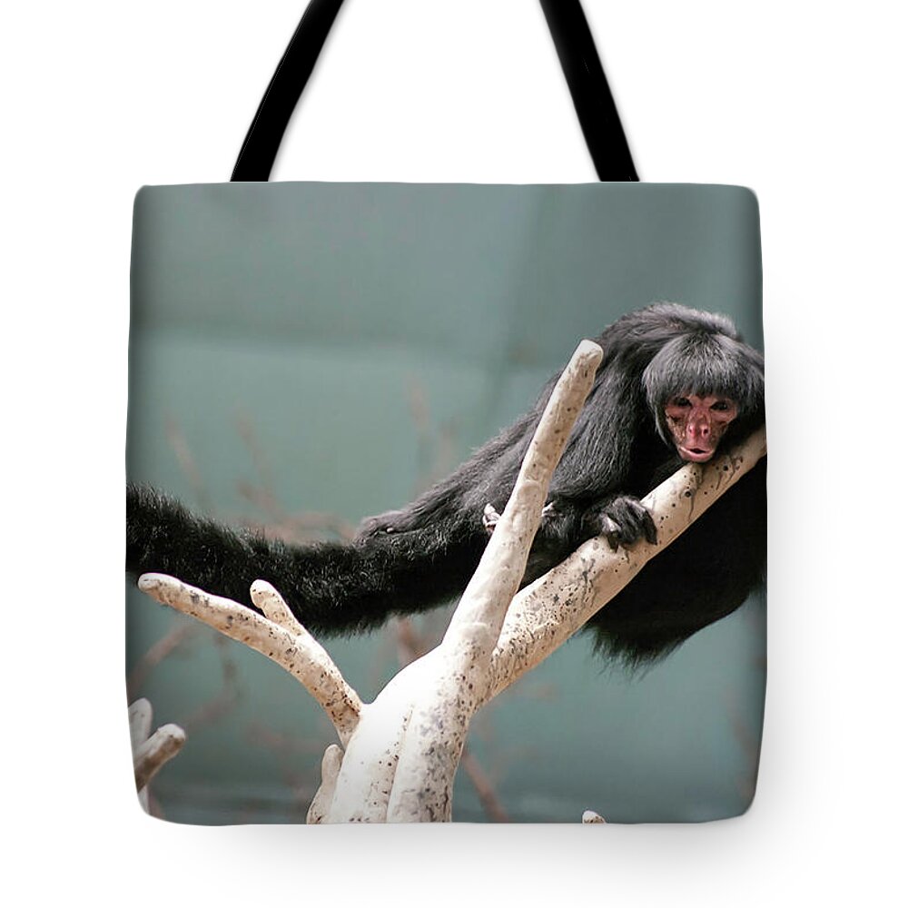 Photography Tote Bag featuring the photograph Hanging Loose by Kathleen Messmer