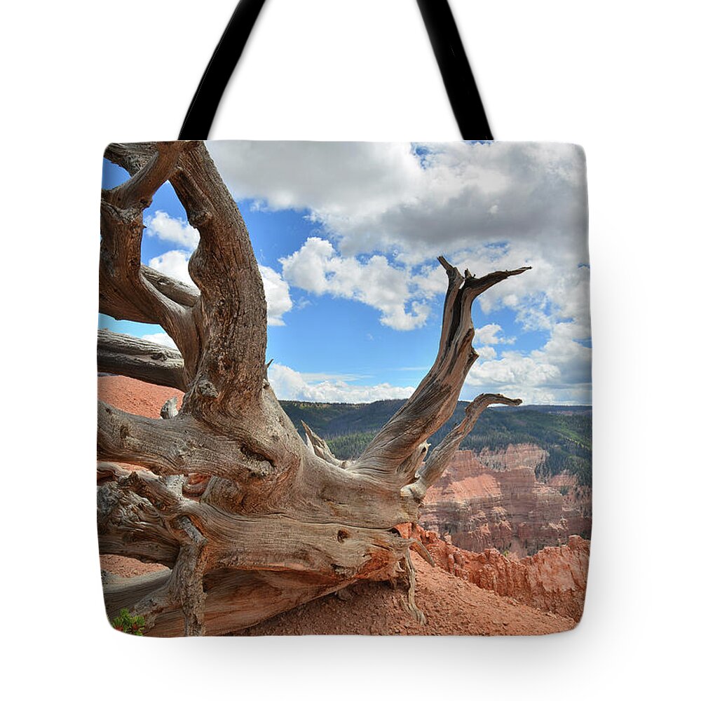 Bristlecone Pine Tote Bag featuring the photograph Hanging On by Ray Mathis