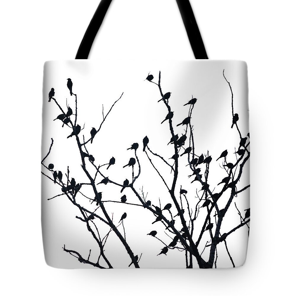 Explore Illinois Tote Bag featuring the photograph Hanging Out by Lauri Novak