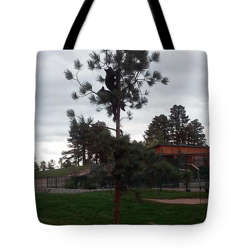Bears Tote Bag featuring the photograph Hanging Out by Sarah Snyder