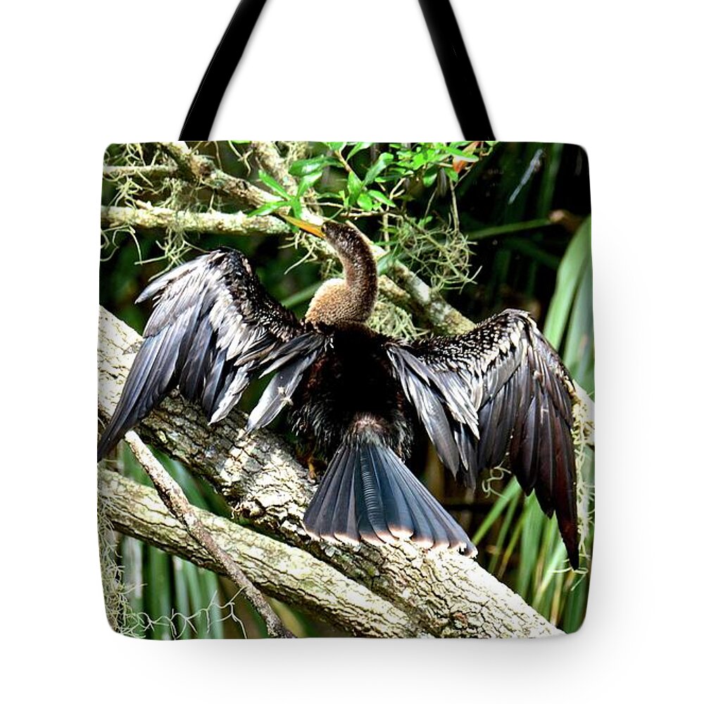Anhinga Tote Bag featuring the photograph Hanging Out to Dry by Carol Bradley