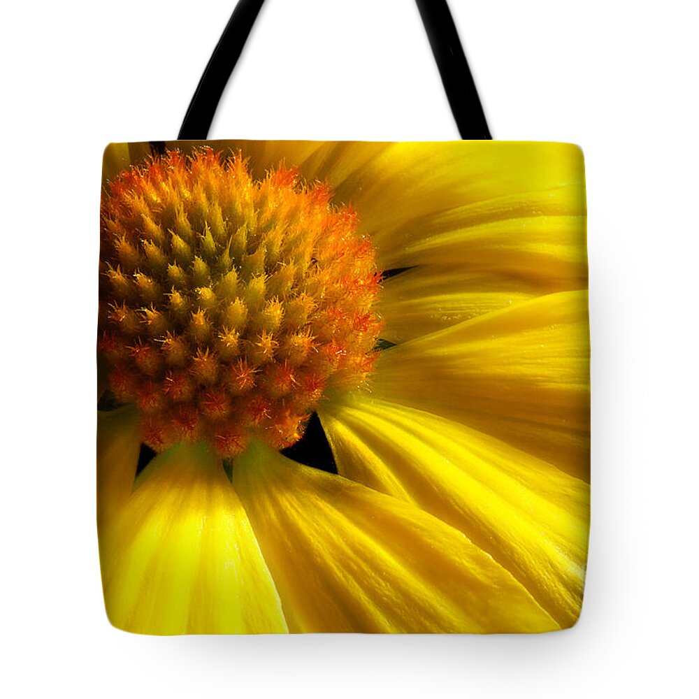 Yellow Daisy Tote Bag featuring the photograph Happiness Shared Through A Flower by Michael Eingle