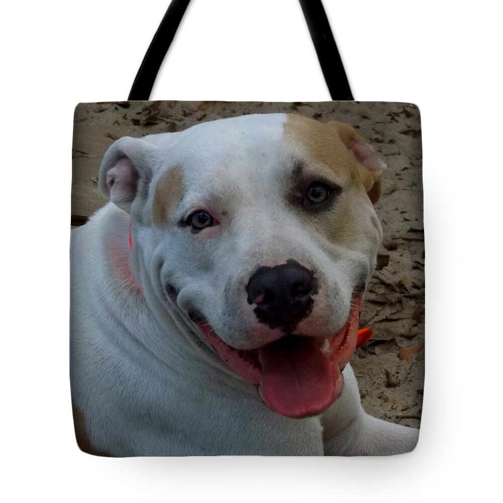Dog Tote Bag featuring the photograph Happy Boy by Julie Pappas