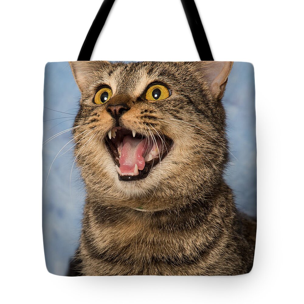 Cat Tote Bag featuring the photograph Happy Cat by Janis Knight