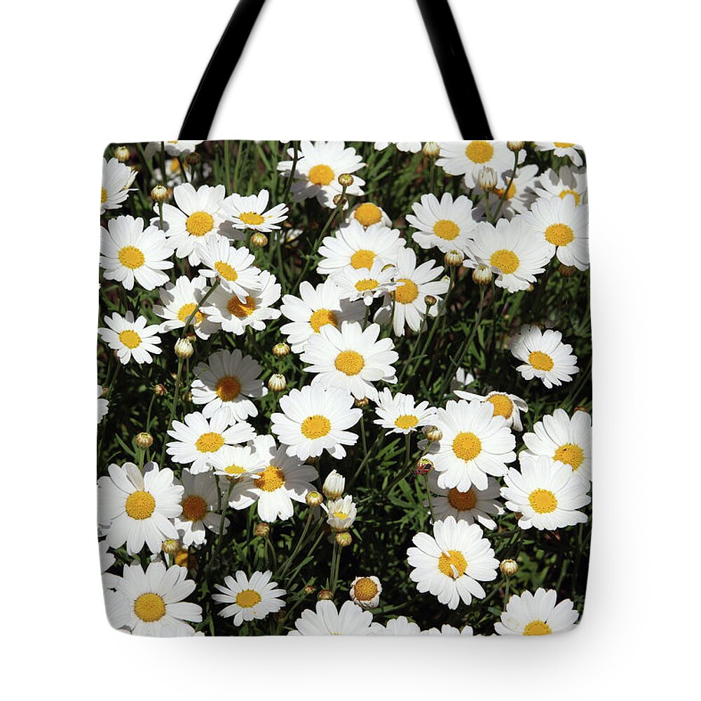Daisy Tote Bag featuring the mixed media Happy Daisies- Photography by Linda Woods by Linda Woods