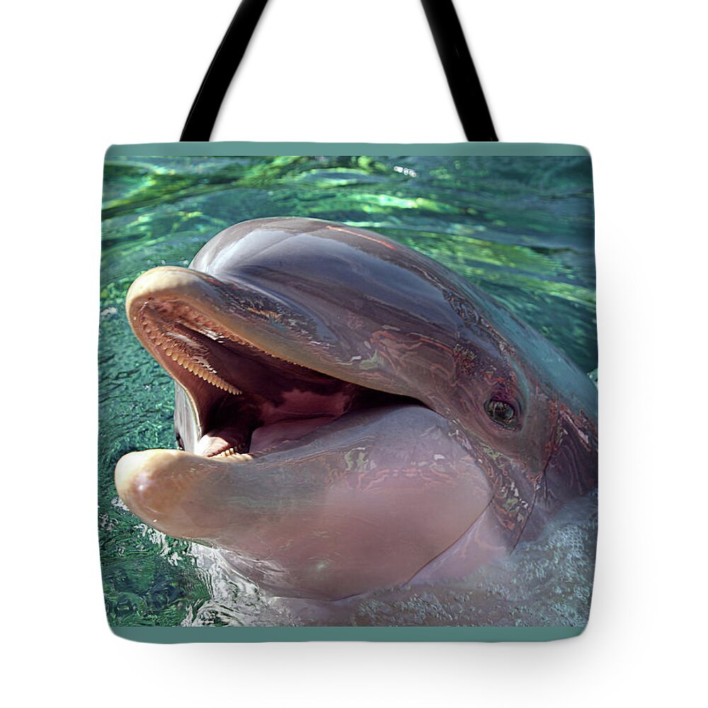 Dolphin Tote Bag featuring the photograph Happy Dolphin - Big Smile by Mitch Spence