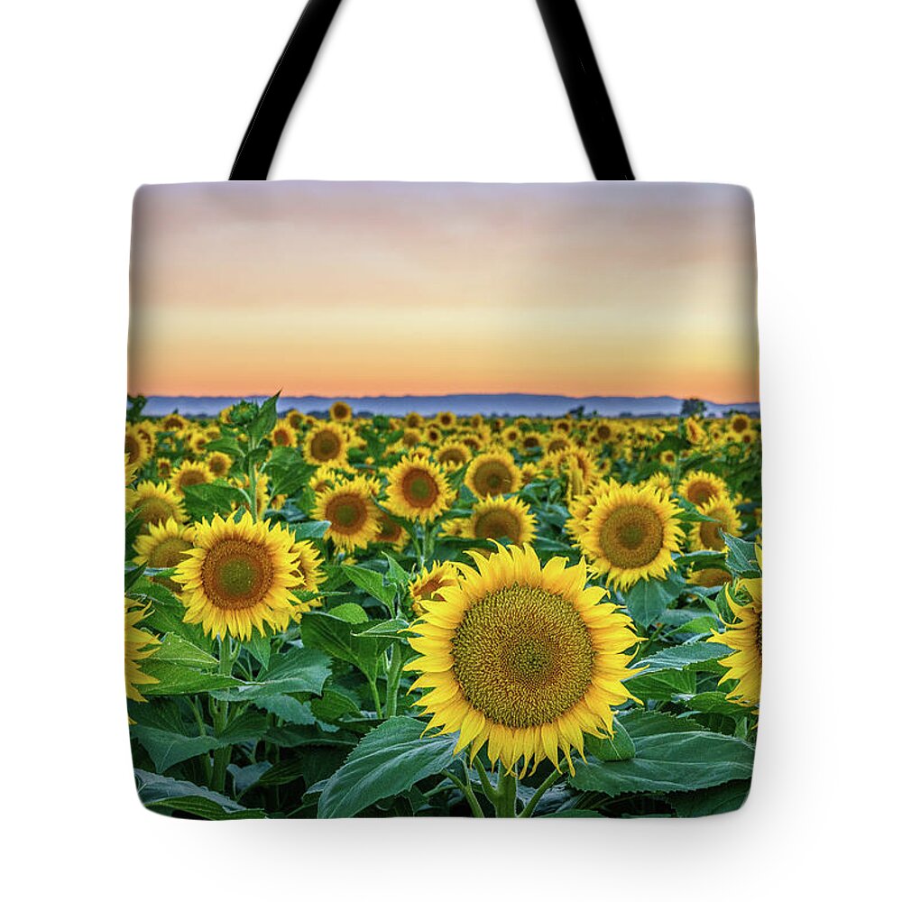 California Tote Bag featuring the photograph Happy Faces by Greg Mitchell Photography