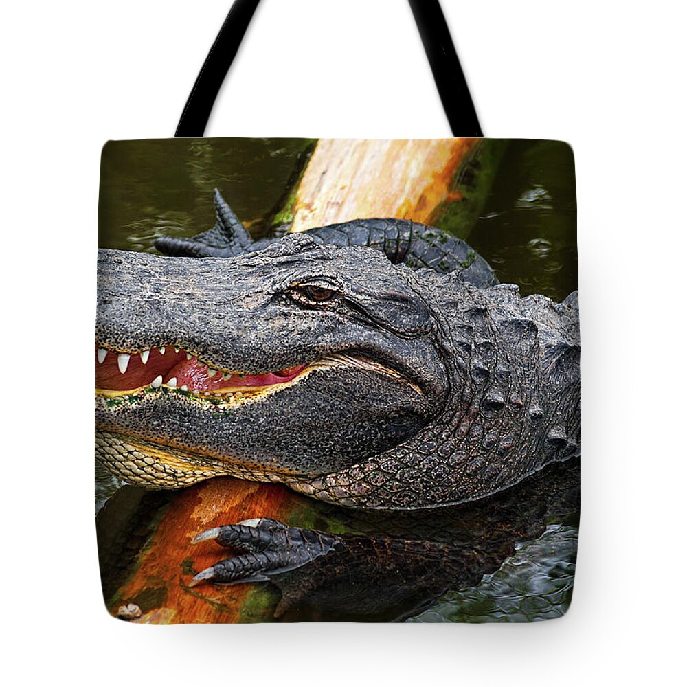 Alligator Tote Bag featuring the photograph Happy Gator by Christopher Holmes