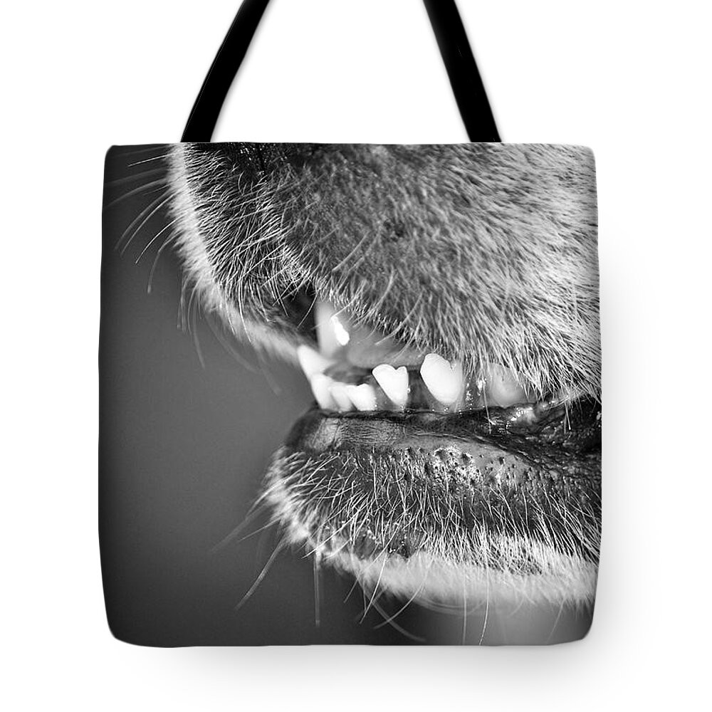 Dog Tote Bag featuring the photograph Happy Girl by Donna Shahan