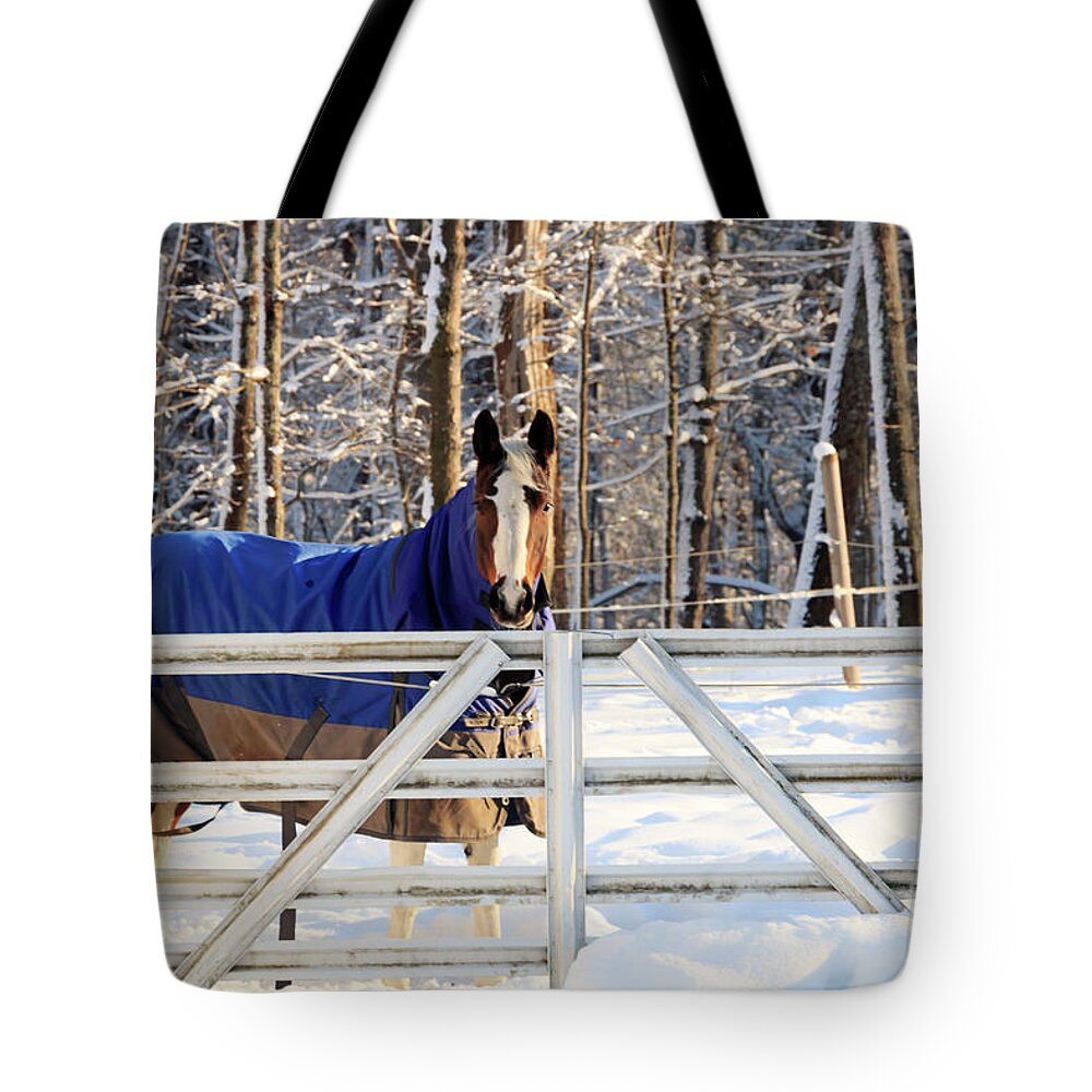 Horse Tote Bag featuring the photograph Happy Hazel by Elizabeth Dow