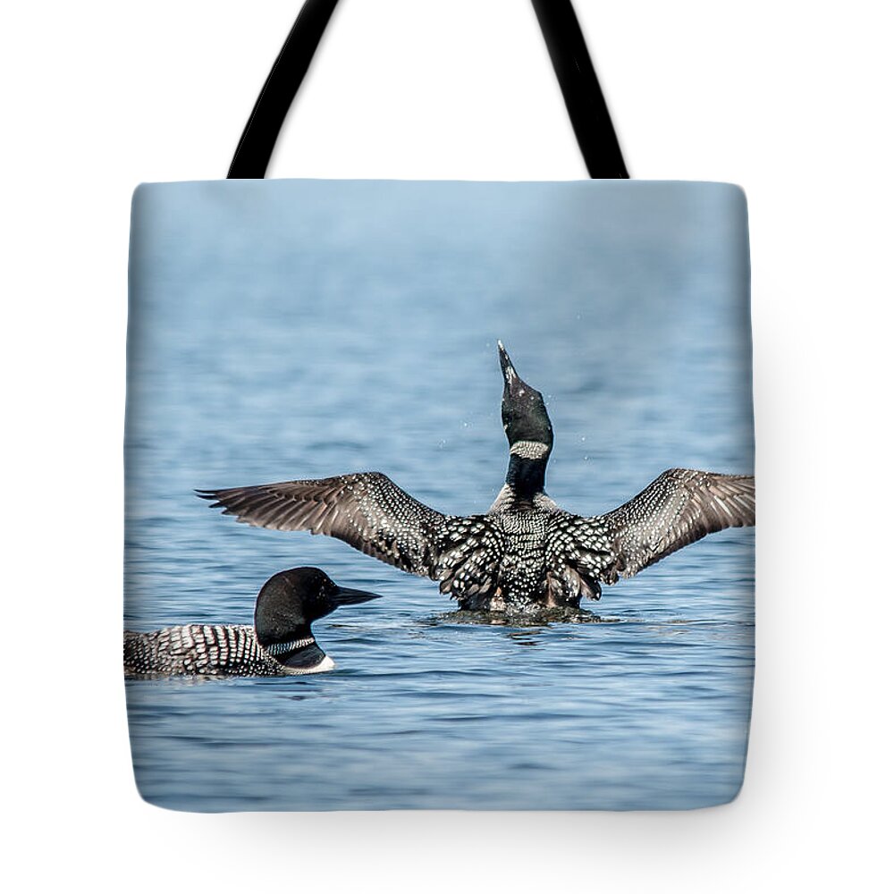 Cheryl Baxter Photography Tote Bag featuring the photograph Happy Loon by Cheryl Baxter
