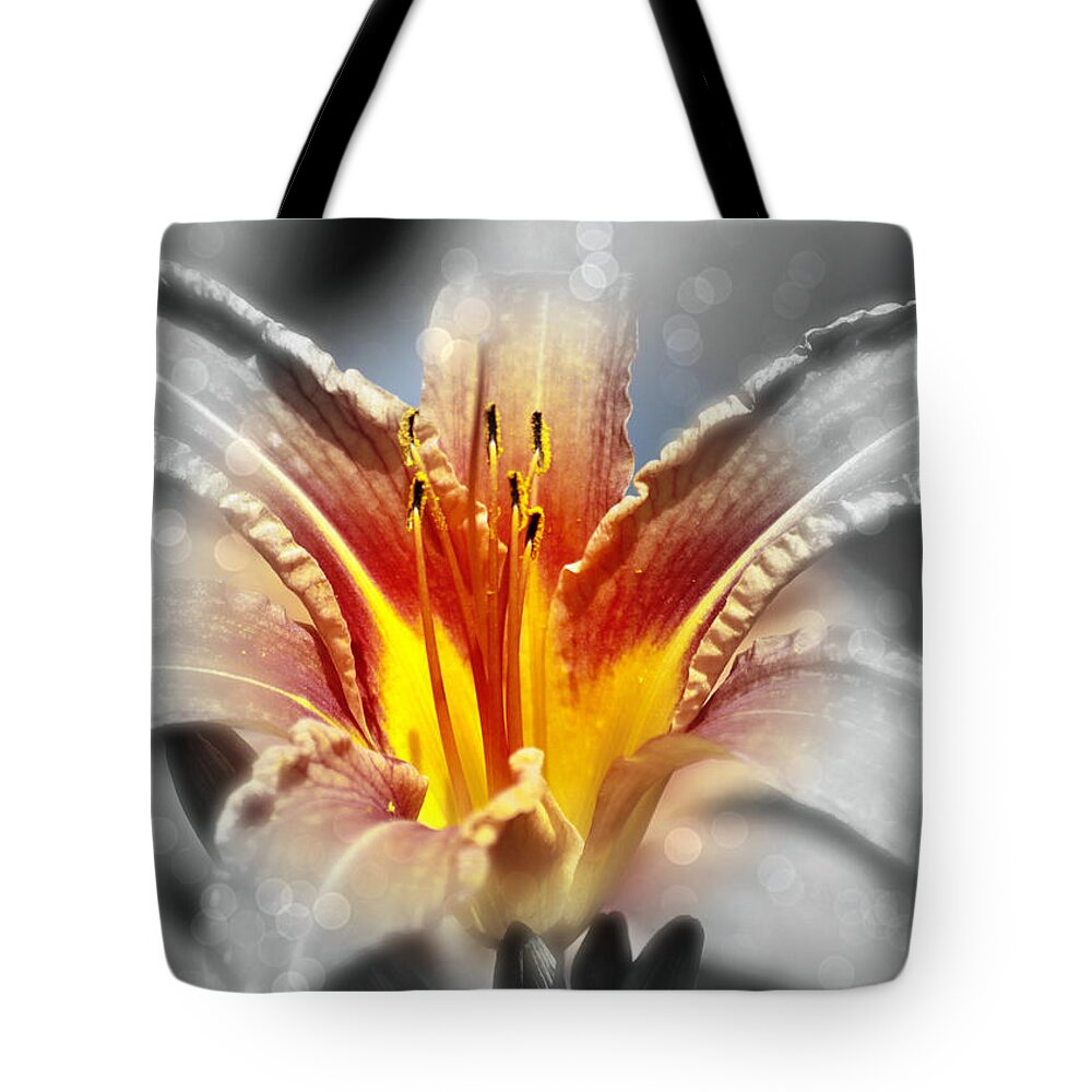 Mother's Day Tote Bag featuring the photograph Happy Mother's Day III by Aurelio Zucco