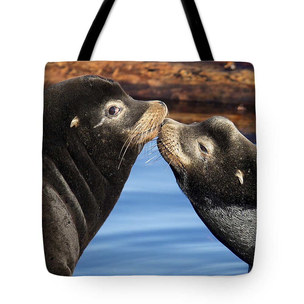 Sea Lions Tote Bag featuring the photograph Happy Valentines Day by Randy Hall