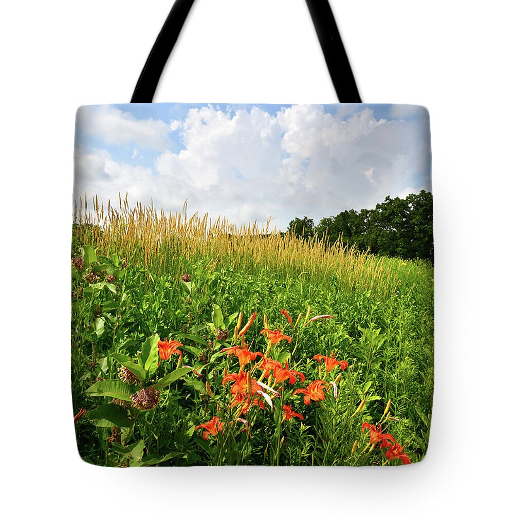 Black Eyed Susan Tote Bag featuring the photograph Happy Valley by Ray Mathis