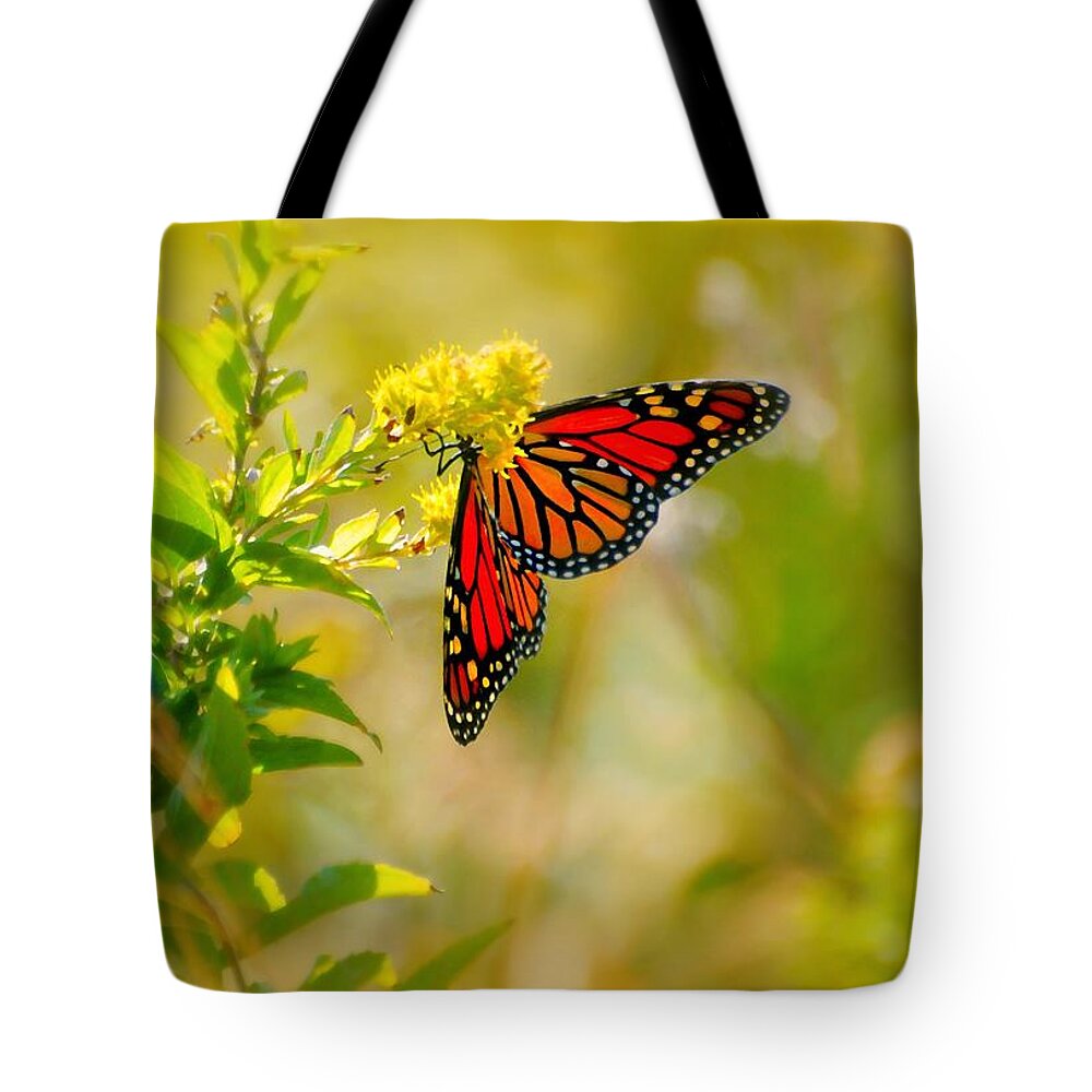 Happy Wings Tote Bag featuring the photograph Happy Wings by Diana Angstadt