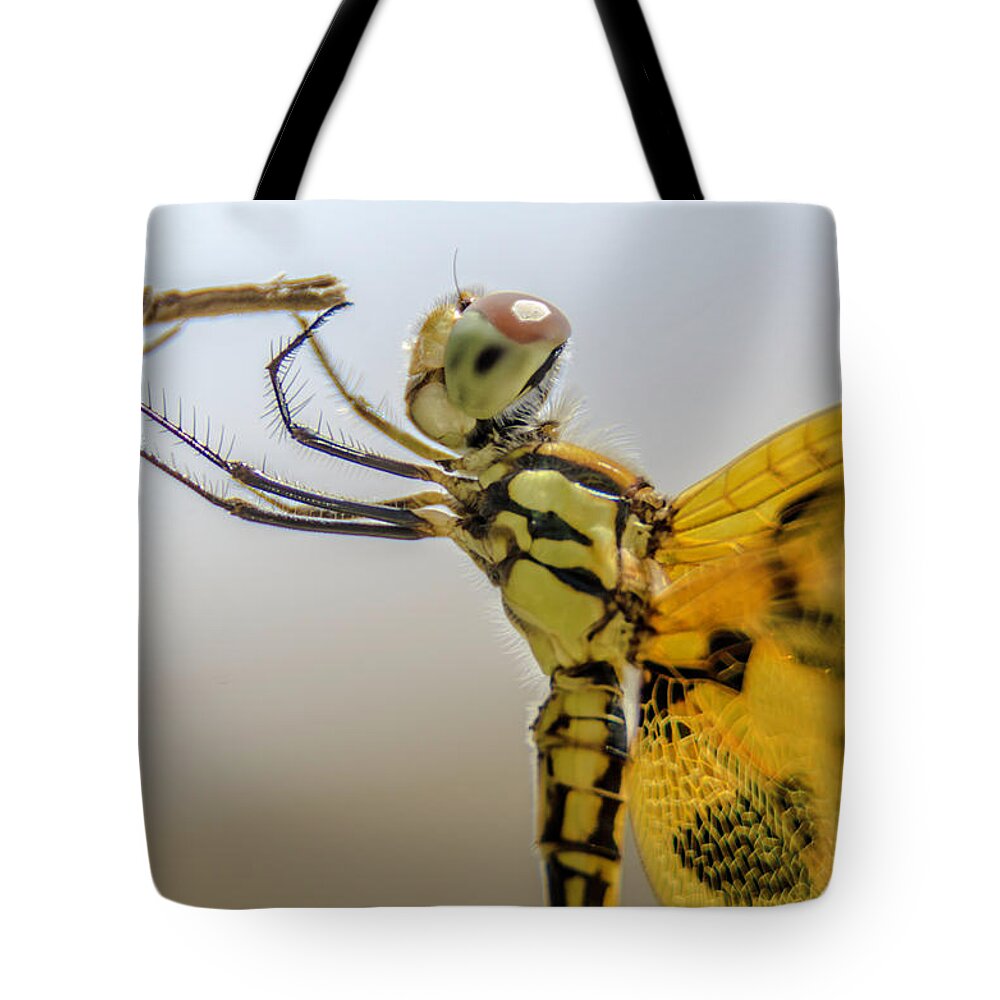 Dragonfly Tote Bag featuring the photograph Hard time to hold on by Wolfgang Stocker